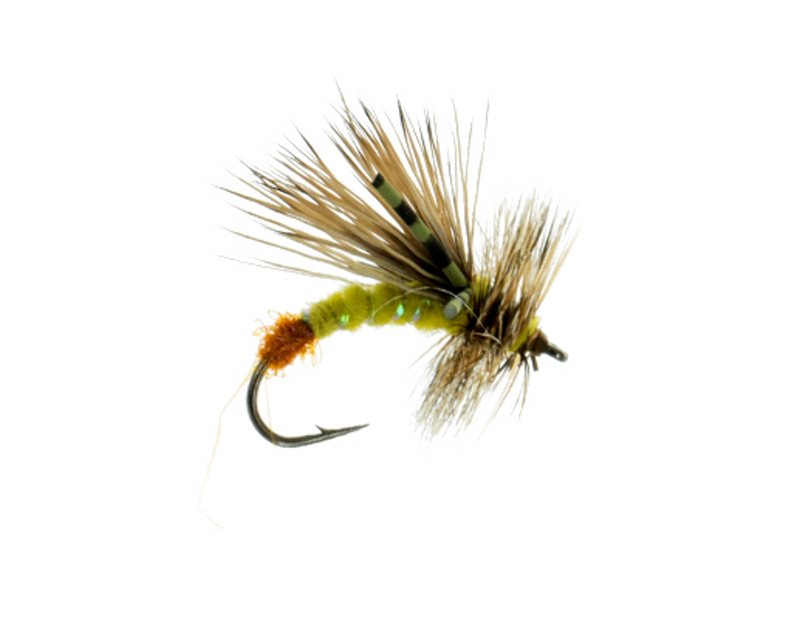 Stinnett&#39;s Klinkulator Yellow Sally 