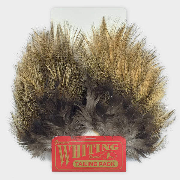 Whiting Farms CDL Tailing Pack (Coq De Leon) | Motor City Anglers