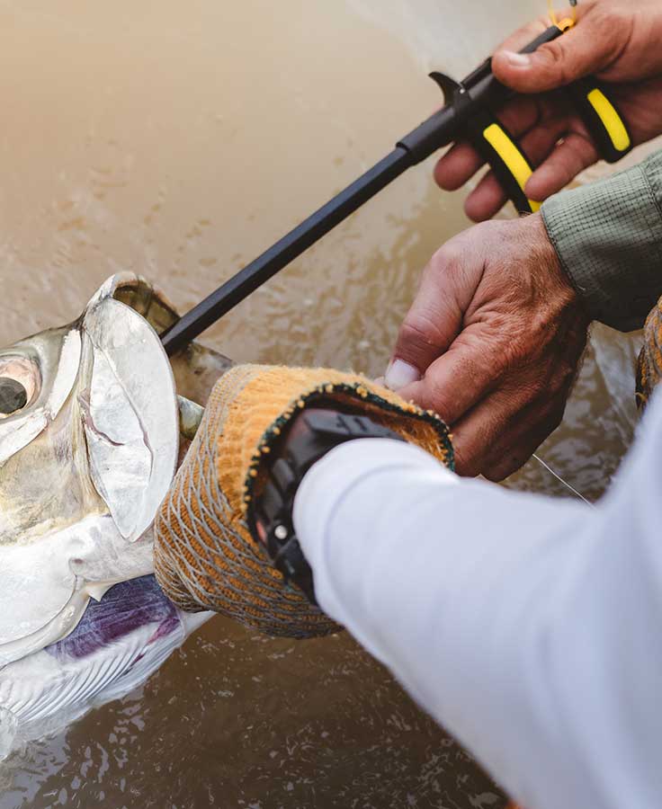 Loon Outdoors Apex Hook Remover