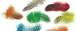 Wapsi Guinea Body Feathers