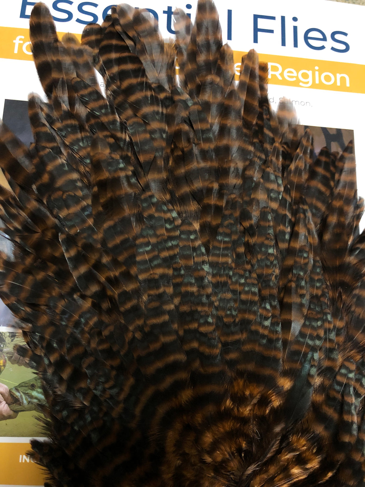 Natures Spirit Select Hen Saddle