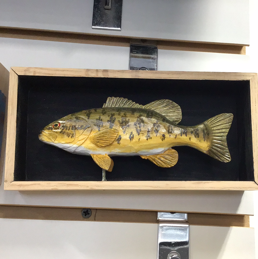 Batchik shadow box smallmouth bass