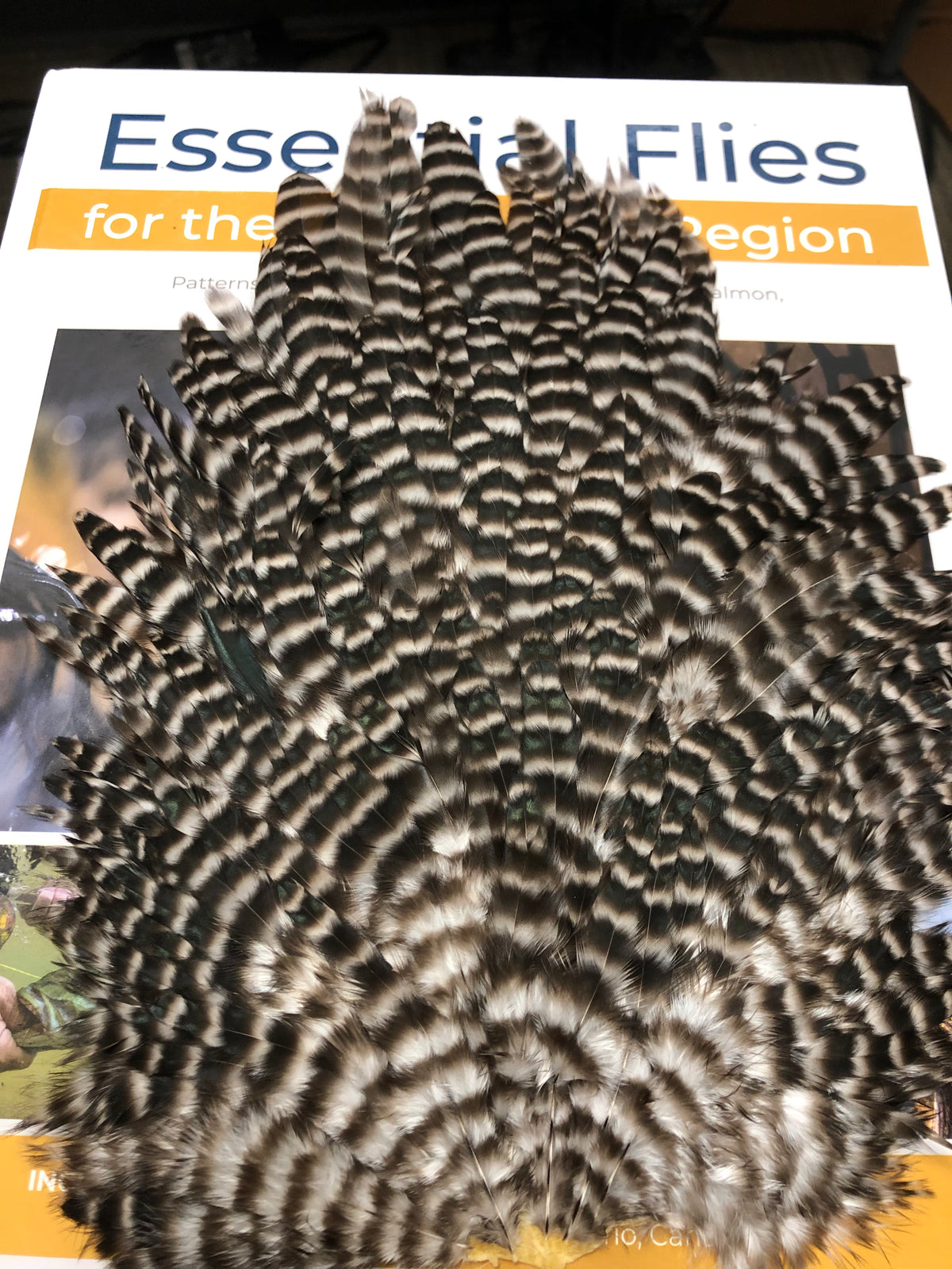 Natures Spirit Select Hen Saddle