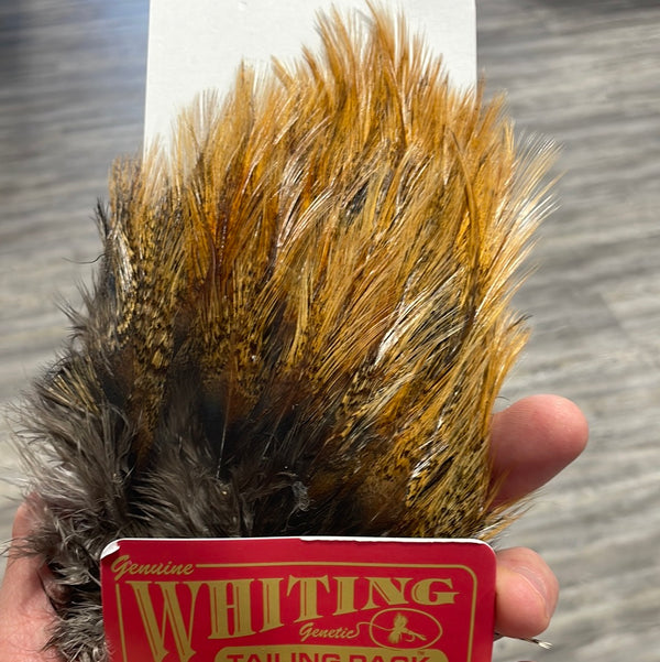 Whiting Farms CDL Tailing Pack (Coq De Leon) | Motor City Anglers