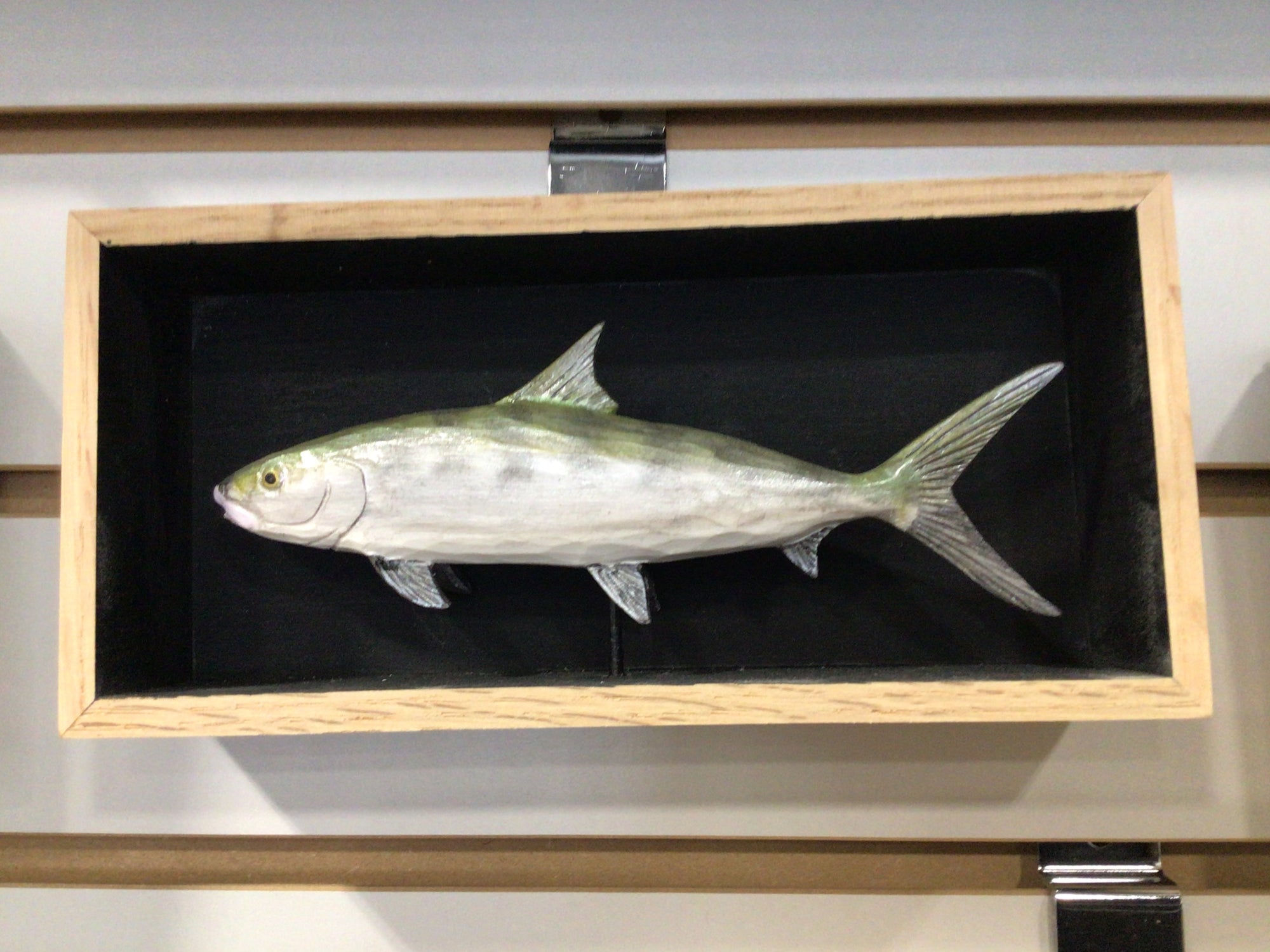 Batchik shadow box bonefish