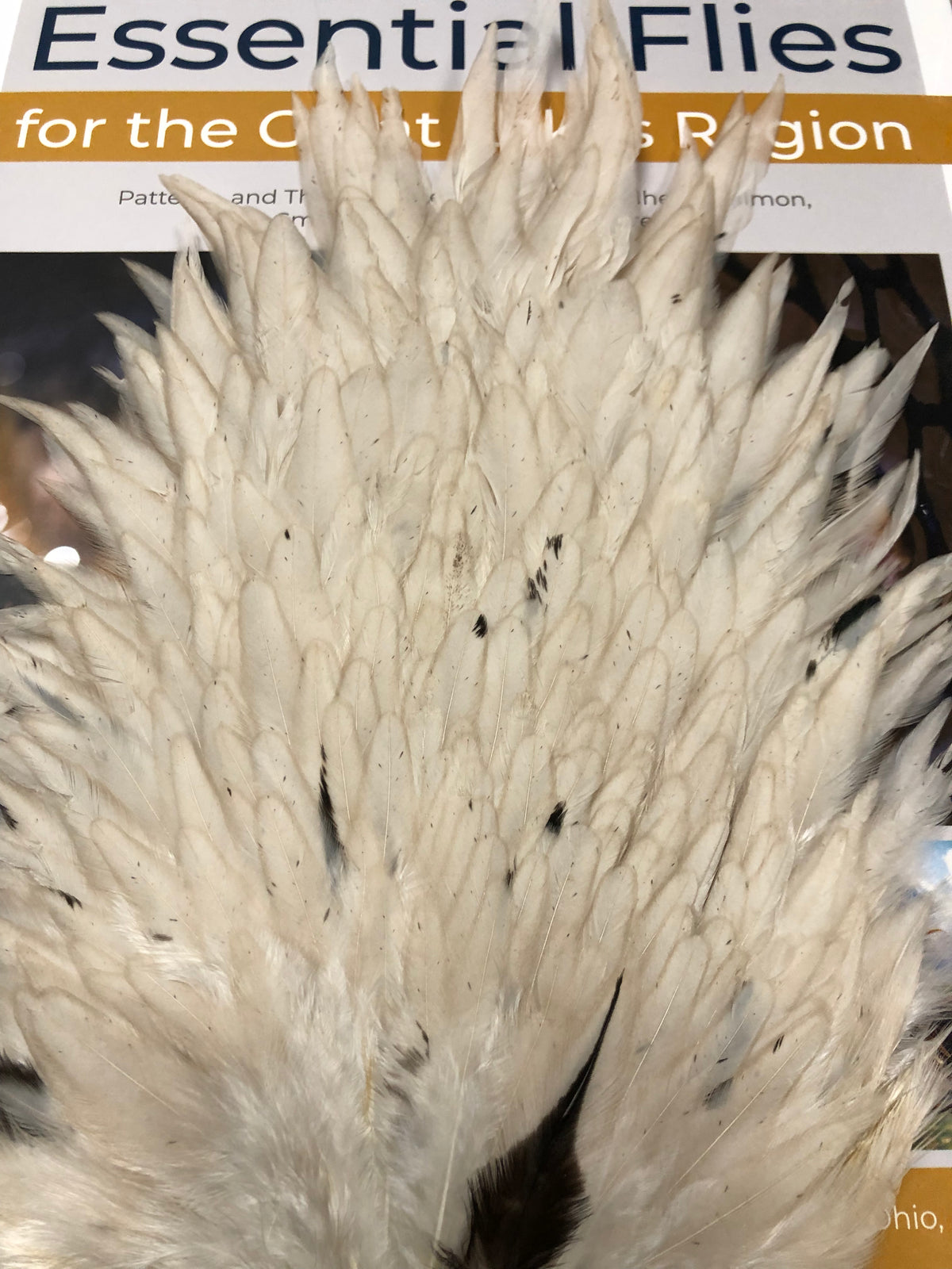 Natures Spirit Select Hen Saddle