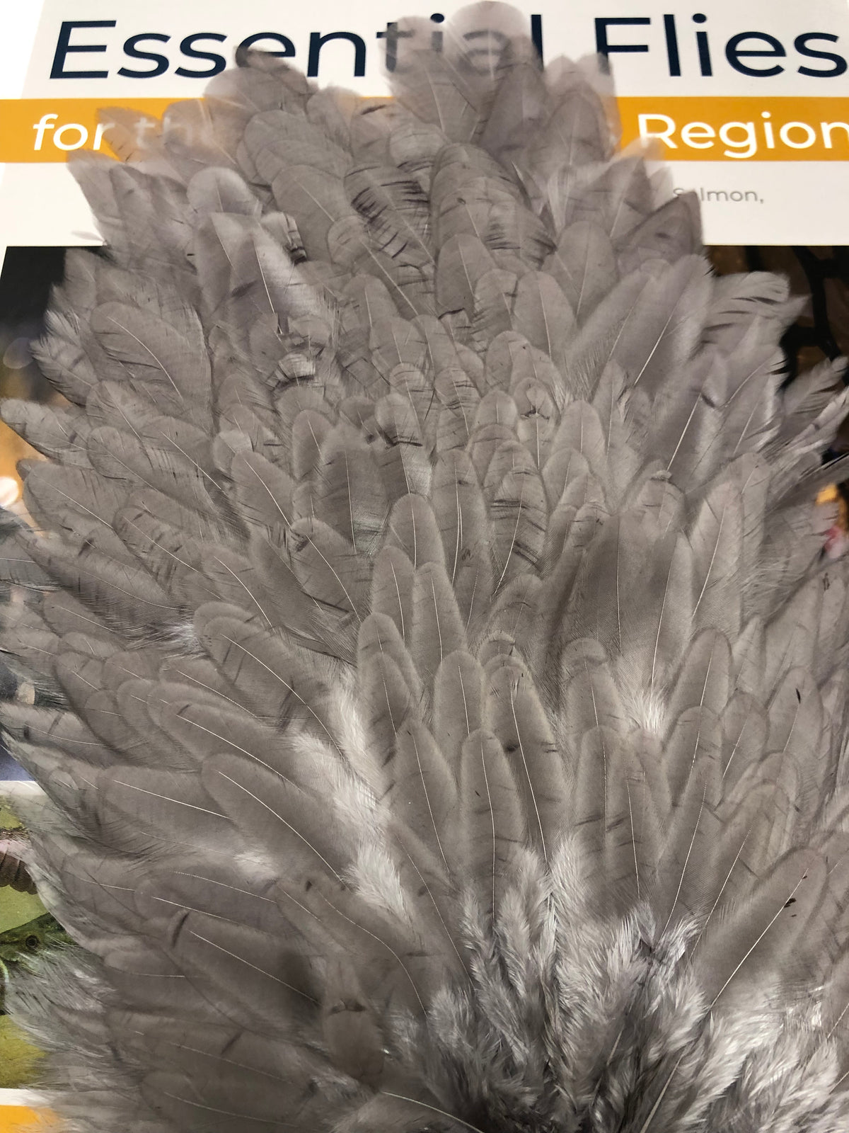 Natures Spirit Select Hen Saddle