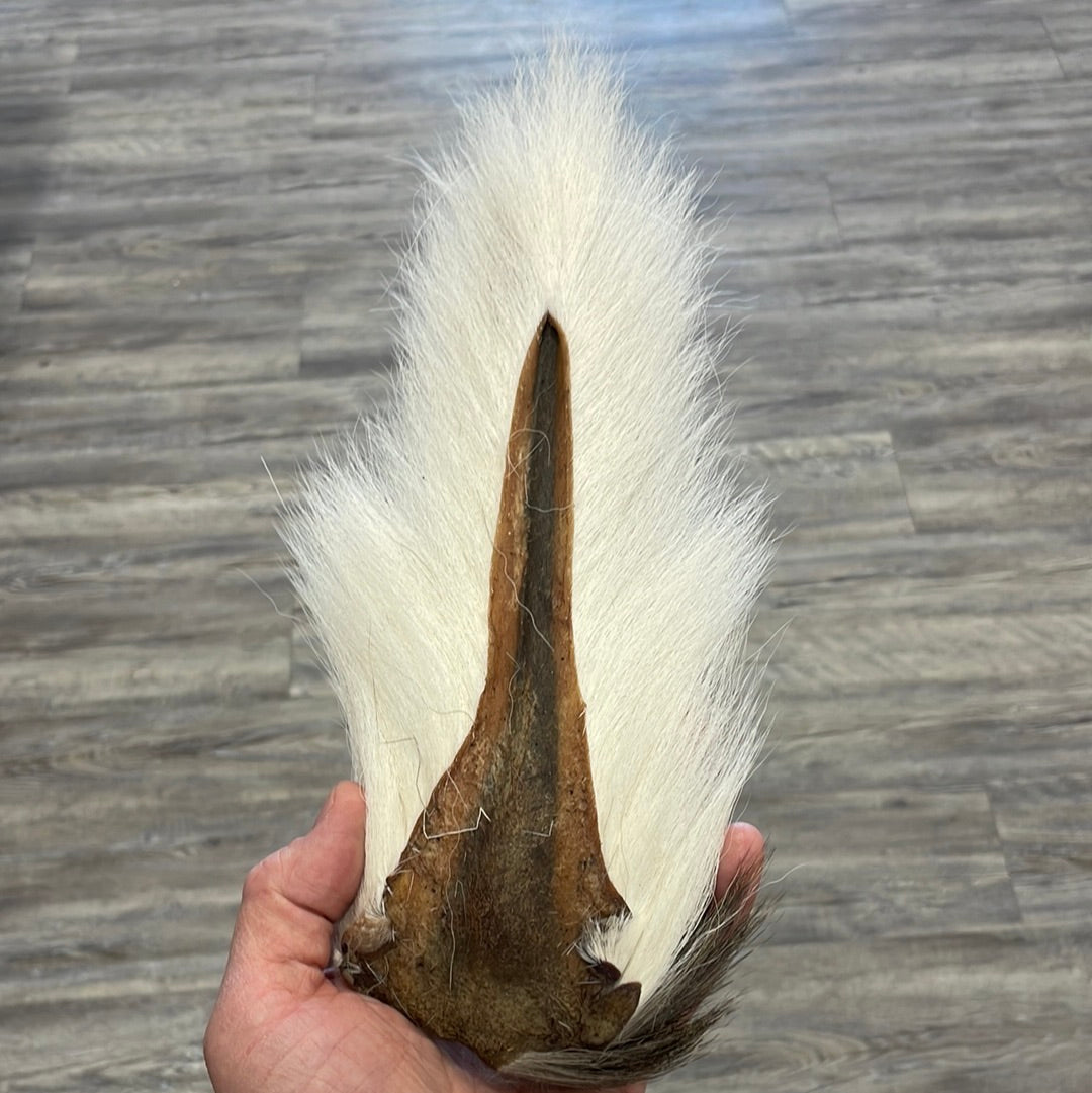 Midwest Premium Bucktail