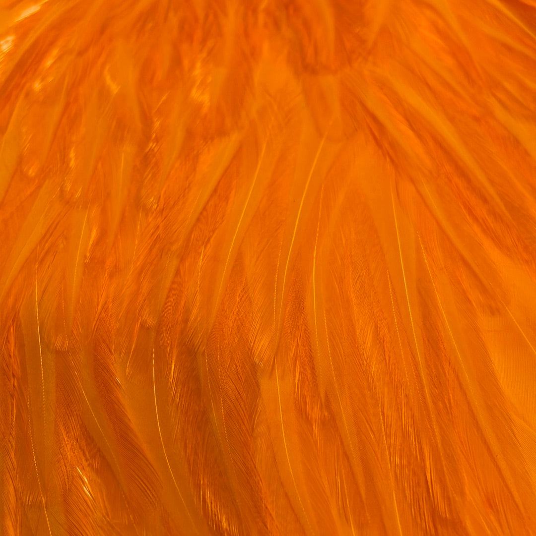 Whiting Farms American Rooster Saddle