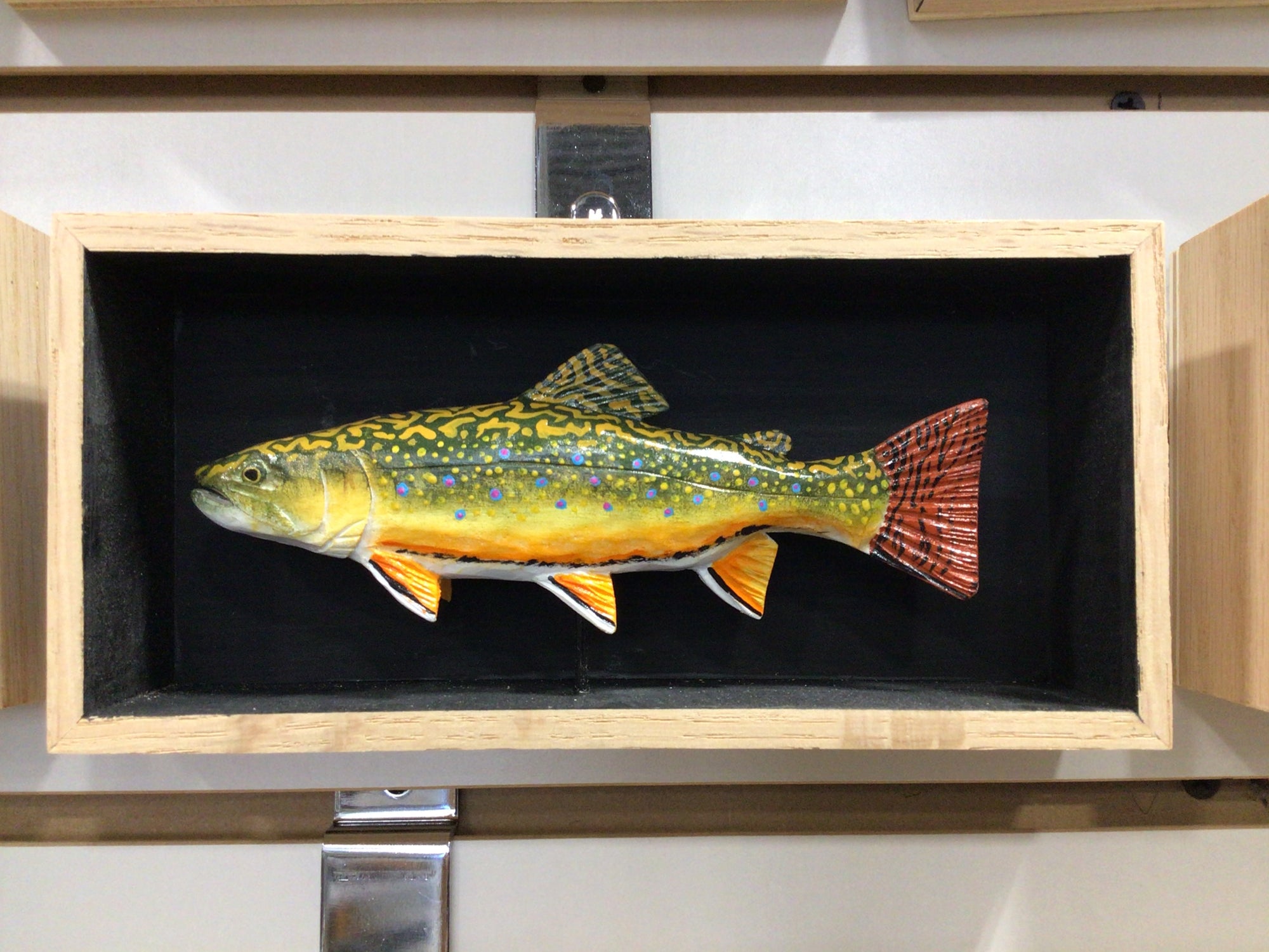 Batchik shadow box brook trout