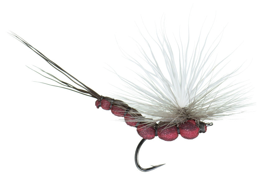 McCoy&#39;s All Day Isonychia Spinner Fly 