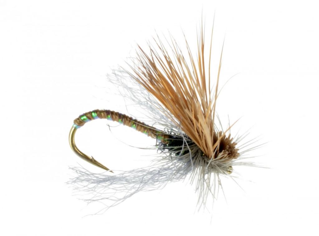 Missing Link Caddis