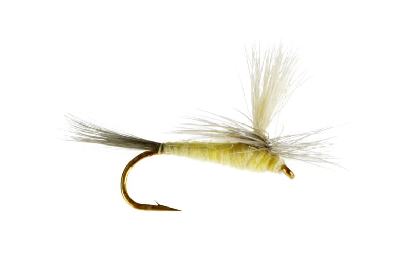 Pale Morning Dun Parachute 
