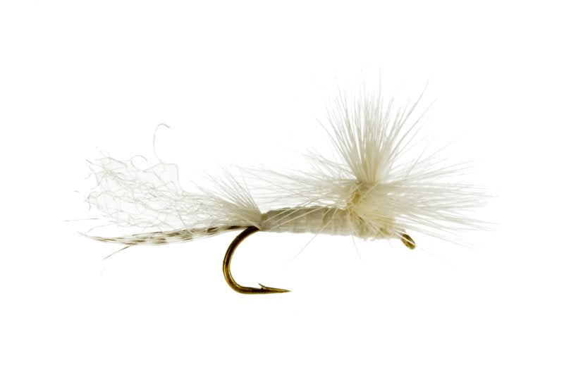 Parachute White Fly 