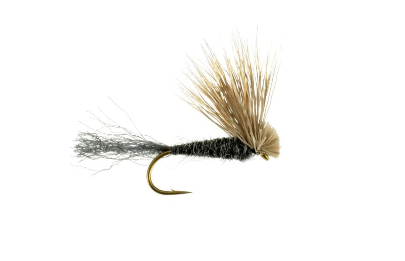 X Caddis Black 