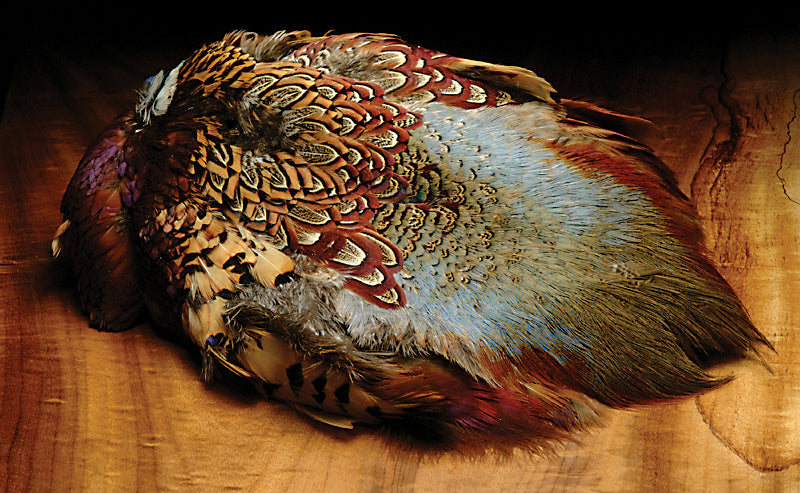 Hareline Ringneck Pheasant Complete Skin