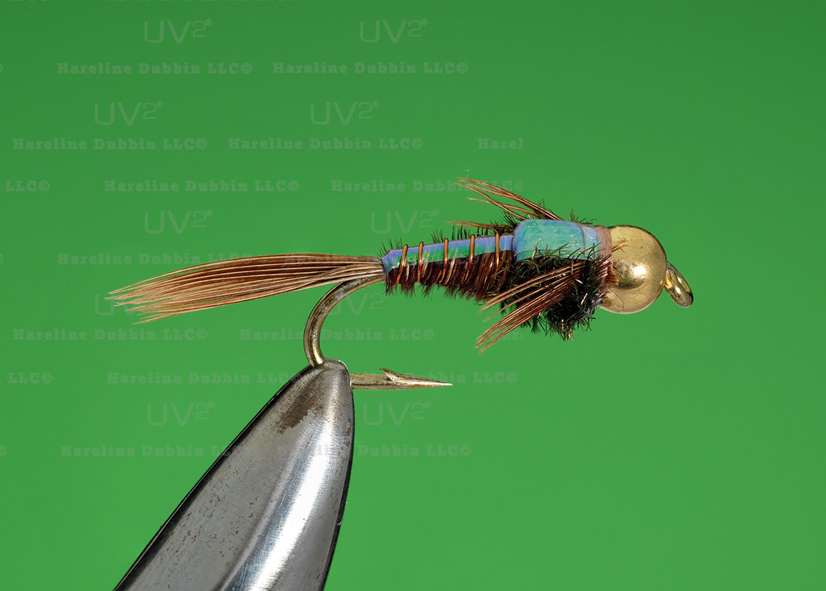 Bead Head Pheasant Tail Flashback